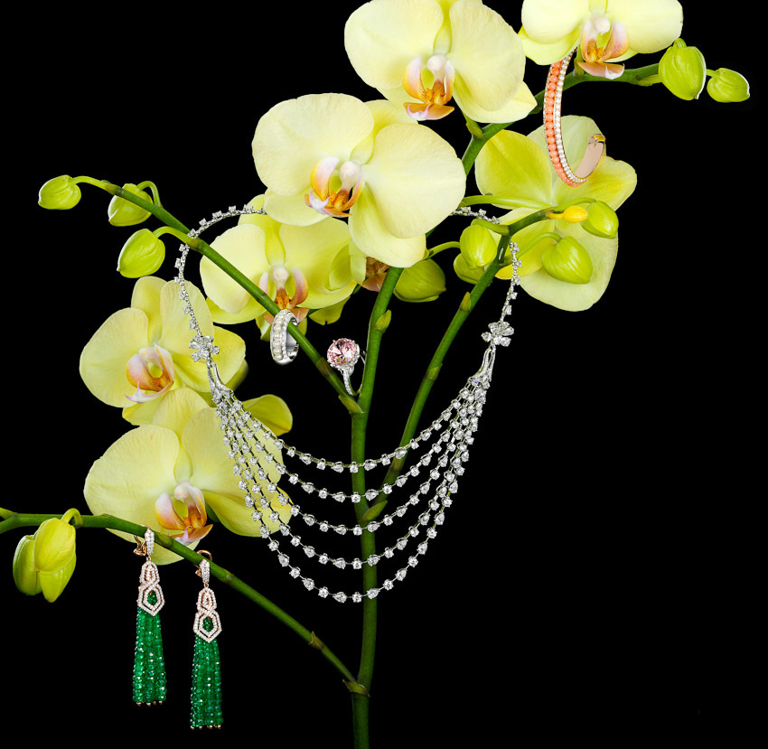 1. jewellery and flowers, orchids with necklace and earrings, Square Meal watches and jewellery still life, watches and jewellery, luxury accessories, jewellery photography, luxury women's accessories photography, diamond photography, diamond necklace and ear rings, still-life photography, David Parfitt, still-life, still-life photography, still-life photographer, still-life photographer London, David Parfitt, advertising photographer