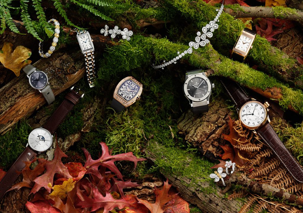 Watches and jewellery on forest floor